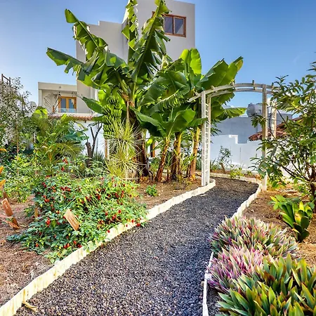 Spacious Home With Tropical Garden, Bbq, Near Seaside Los Silos Buitenkant foto