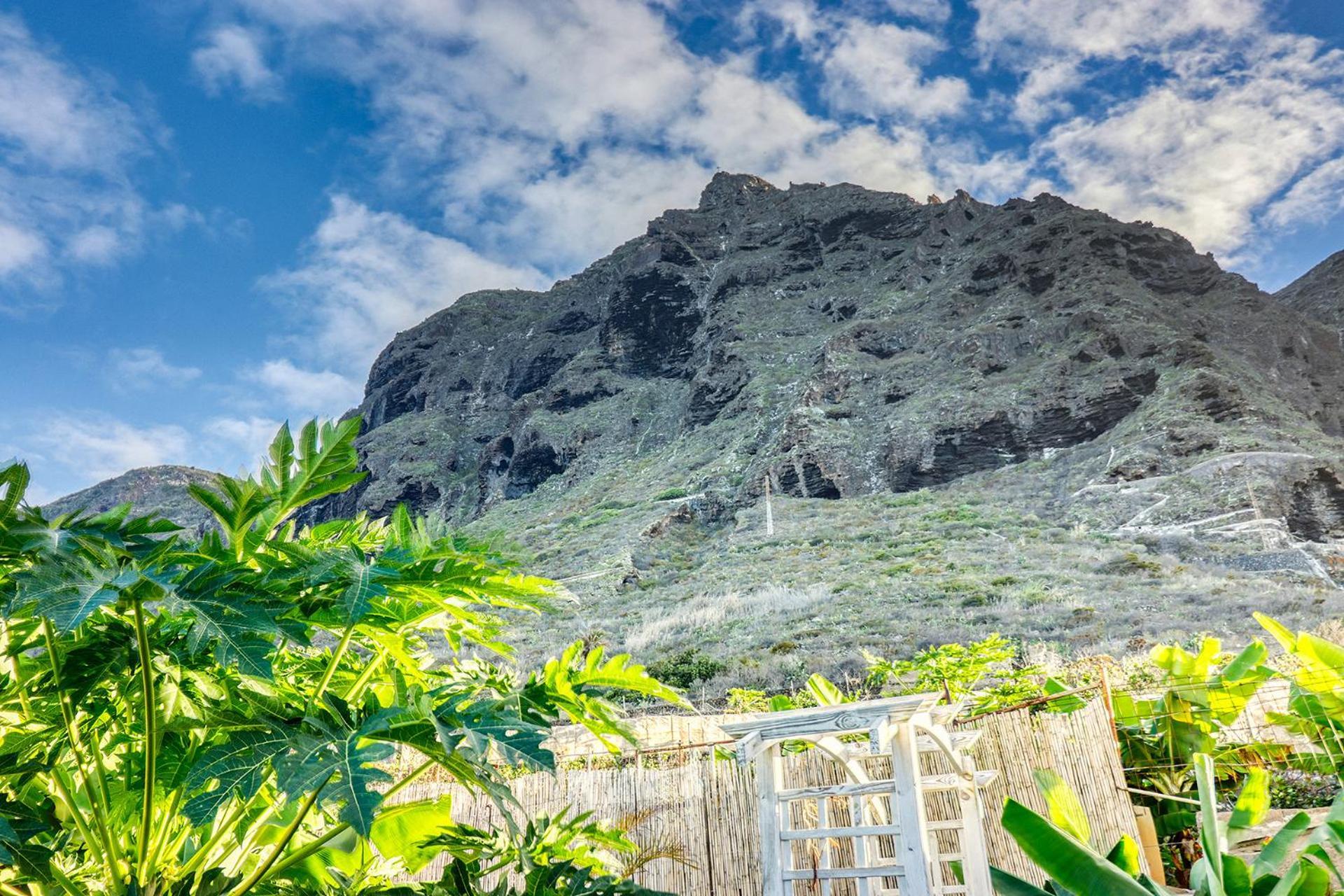 Vakantiehuis Spacious With Tropical Garden, Bbq, Near Seaside