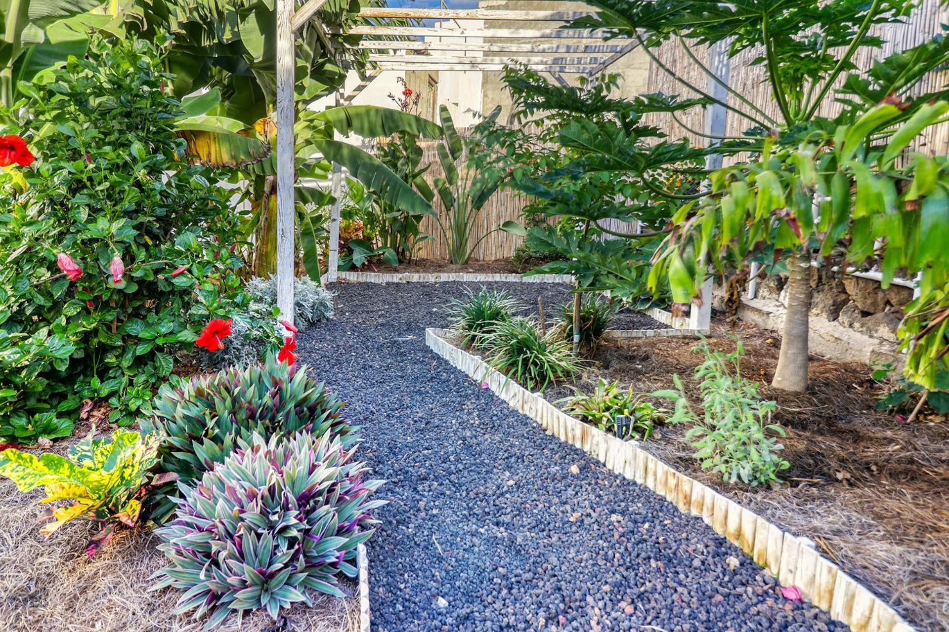 Vakantiehuis Spacious With Tropical Garden, Bbq, Near Seaside